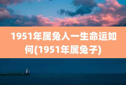 1951年属兔人一生命运如何(1951年属兔子)
