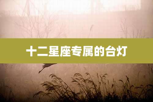 十二星座专属的台灯