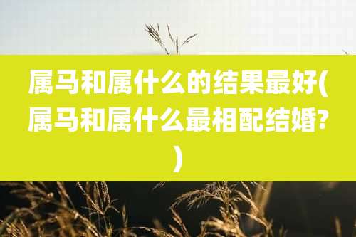 属马和属什么的结果最好(属马和属什么最相配结婚?)