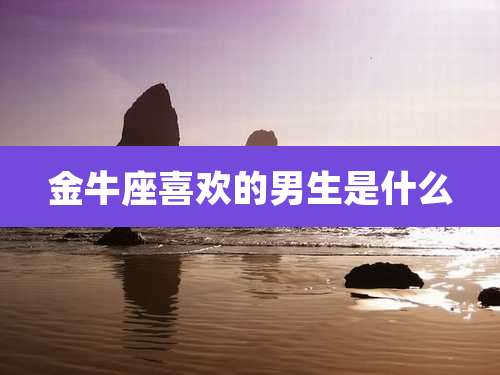 金牛座喜欢的男生是什么