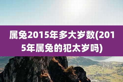 属兔2015年多大岁数(2015年属兔的犯太岁吗)