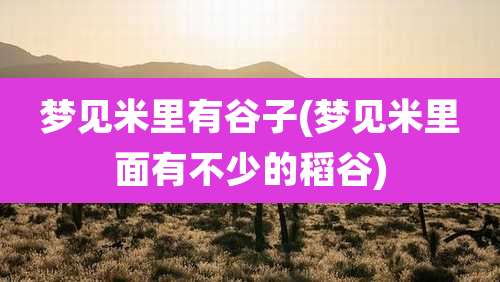 梦见米里有谷子(梦见米里面有不少的稻谷)