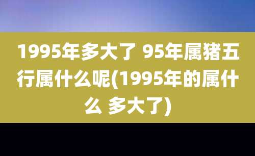 1995年多大了 95年属猪五行属什么呢(1995年的属什么 多大了)