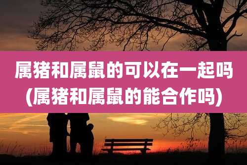 属猪和属鼠的可以在一起吗(属猪和属鼠的能合作吗)