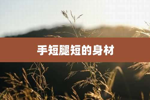 手短腿短的身材