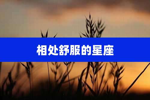 相处舒服的星座