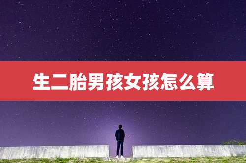 生二胎男孩女孩怎么算