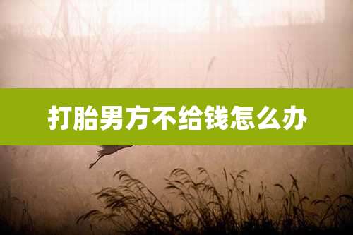 打胎男方不给钱怎么办