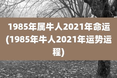 1985年属牛人2021年命运(1985年牛人2021年运势运程)