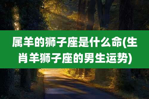 属羊的狮子座是什么命(生肖羊狮子座的男生运势)