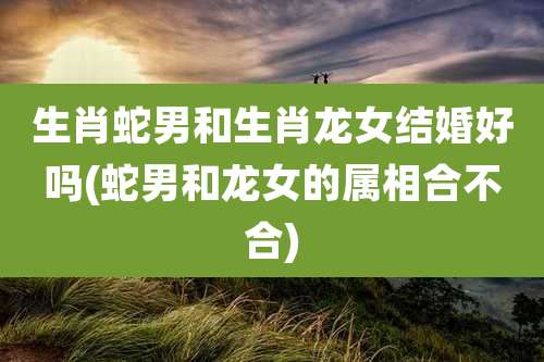 生肖蛇男和生肖龙女结婚好吗(蛇男和龙女的属相合不合)
