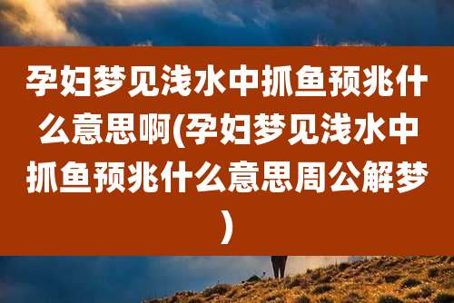 孕妇梦见浅水中抓鱼预兆什么意思啊(孕妇梦见浅水中抓鱼预兆什么意思周公解梦)