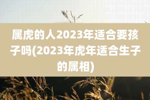 属虎的人2023年适合要孩子吗(2023年虎年适合生子的属相)