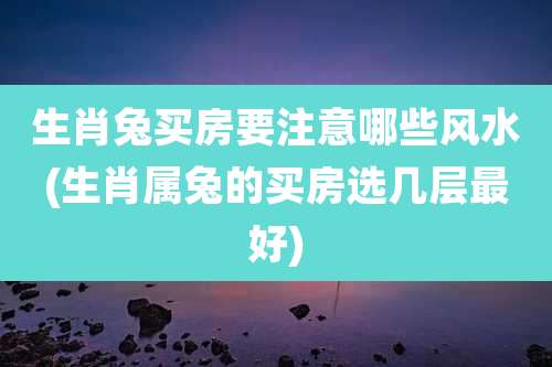 生肖兔买房要注意哪些风水(生肖属兔的买房选几层最好)