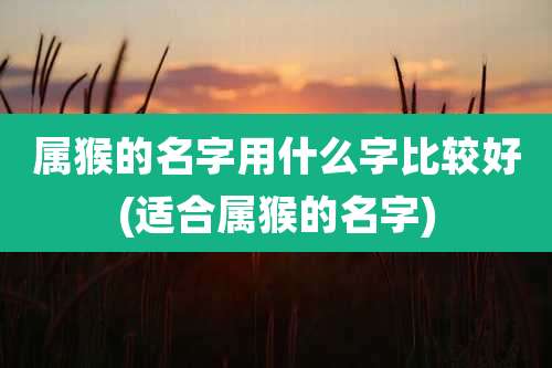 属猴的名字用什么字比较好(适合属猴的名字)