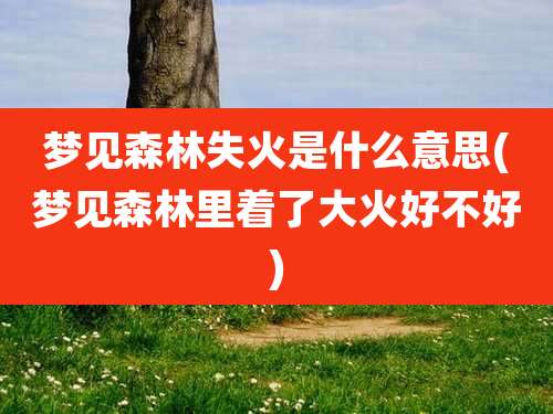 梦见森林失火是什么意思(梦见森林里着了大火好不好)