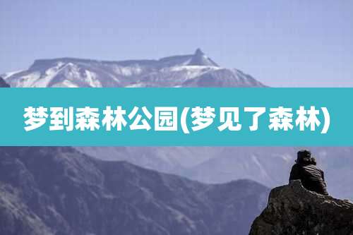 梦到森林公园(梦见了森林)