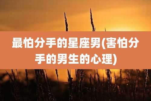 最怕分手的星座男(害怕分手的男生的心理)