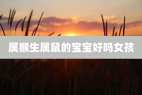 属猴生属鼠的宝宝好吗女孩