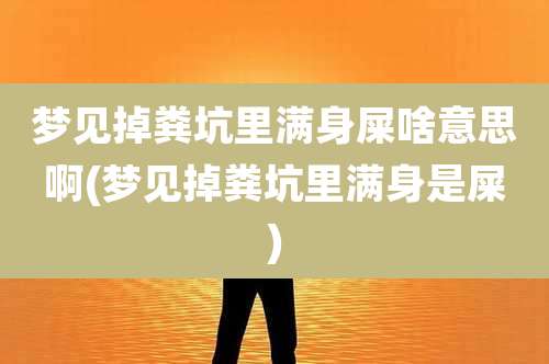 梦见掉粪坑里满身屎啥意思啊(梦见掉粪坑里满身是屎)