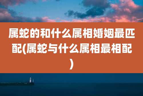 属蛇的和什么属相婚姻最匹配(属蛇与什么属相最相配)
