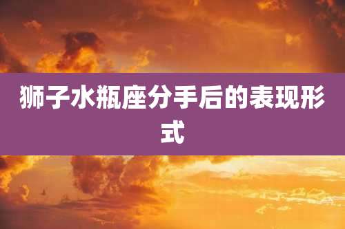 狮子水瓶座分手后的表现形式
