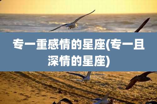 专一重感情的星座(专一且深情的星座)