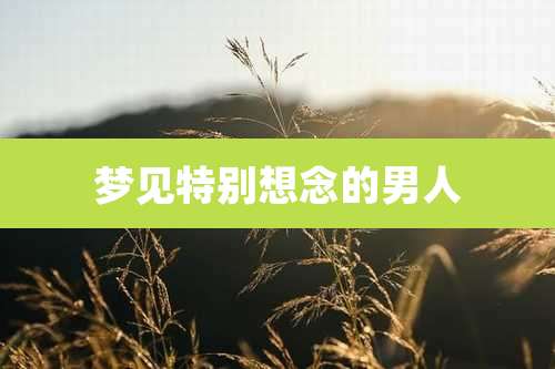 梦见特别想念的男人