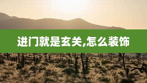 进门就是玄关,怎么装饰