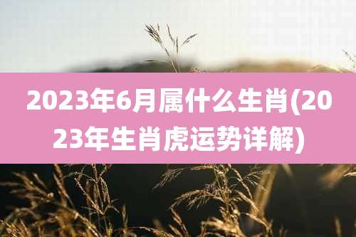 2023年6月属什么生肖(2023年生肖虎运势详解)