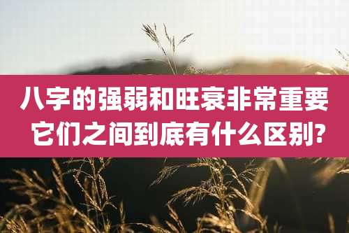 八字的强弱和旺衰非常重要 它们之间到底有什么区别?