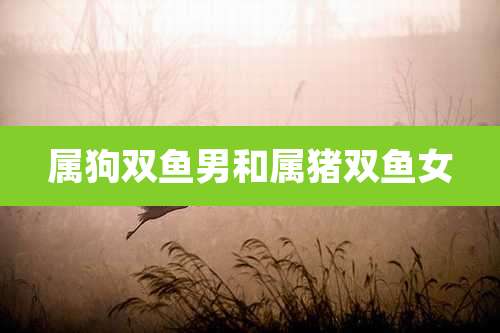 属狗双鱼男和属猪双鱼女