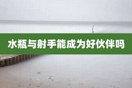 水瓶与射手能成为好伙伴吗