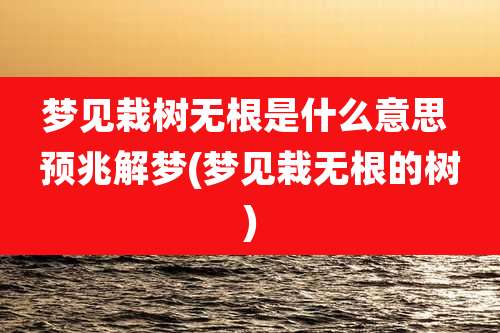 梦见栽树无根是什么意思 预兆解梦(梦见栽无根的树)