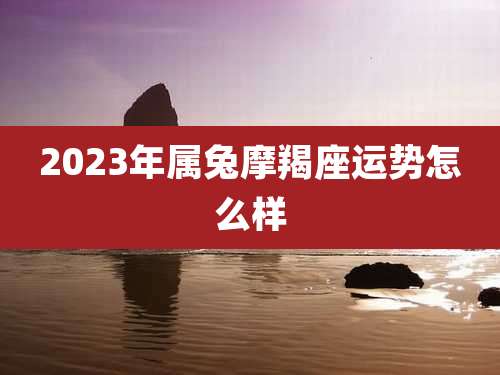 2023年属兔摩羯座运势怎么样