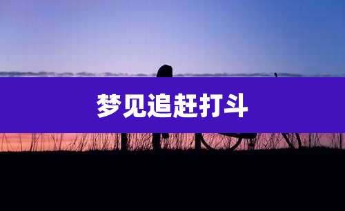 梦见追赶打斗