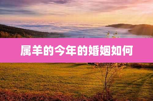 属羊的今年的婚姻如何