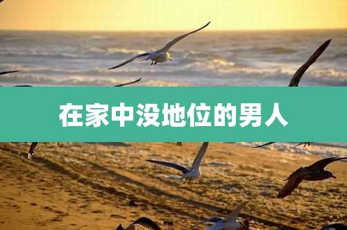 在家中没地位的男人