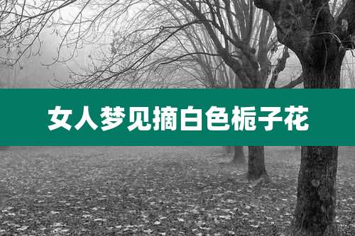女人梦见摘白色栀子花