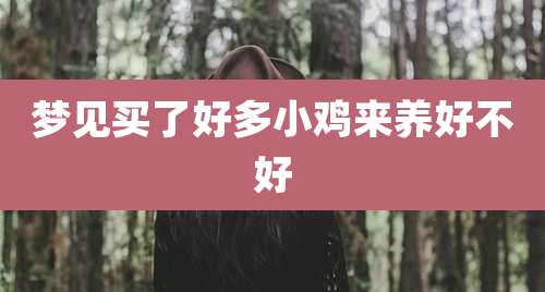 梦见买了好多小鸡来养好不好