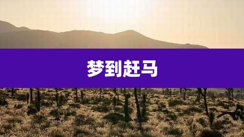 梦到赶马