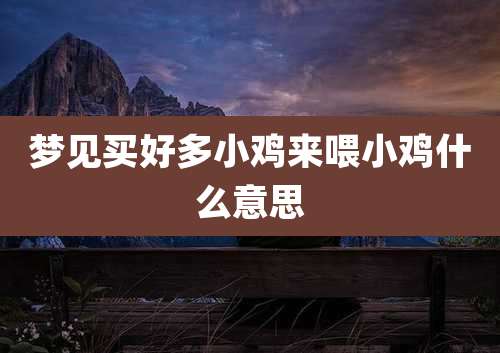 梦见买好多小鸡来喂小鸡什么意思