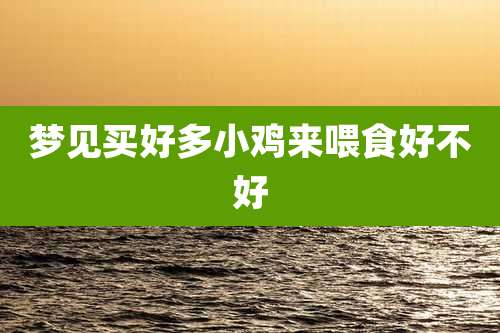 梦见买好多小鸡来喂食好不好