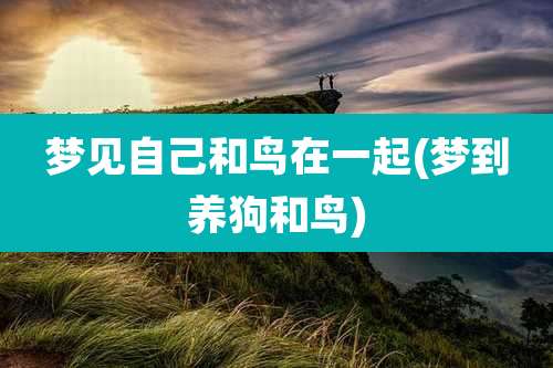 梦见自己和鸟在一起(梦到养狗和鸟)