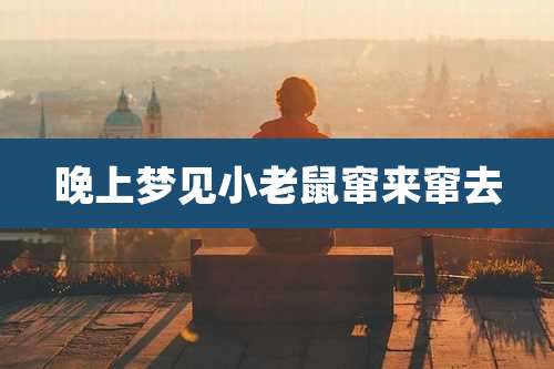 晚上梦见小老鼠窜来窜去