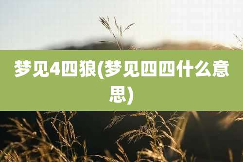 梦见4四狼(梦见四四什么意思)