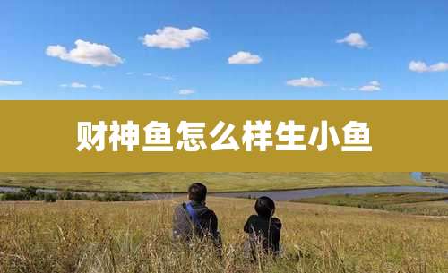 财神鱼怎么样生小鱼