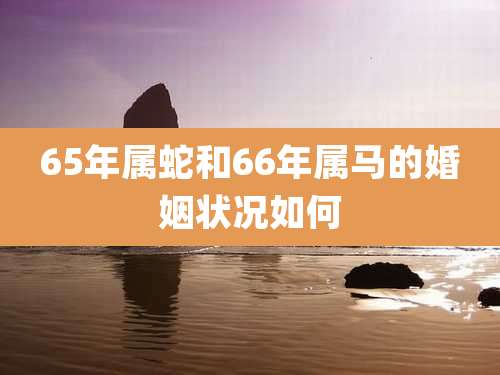 65年属蛇和66年属马的婚姻状况如何
