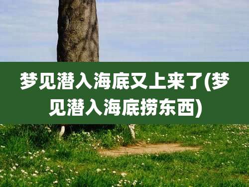 梦见潜入海底又上来了(梦见潜入海底捞东西)