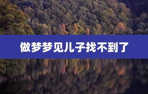 做梦梦见儿子找不到了